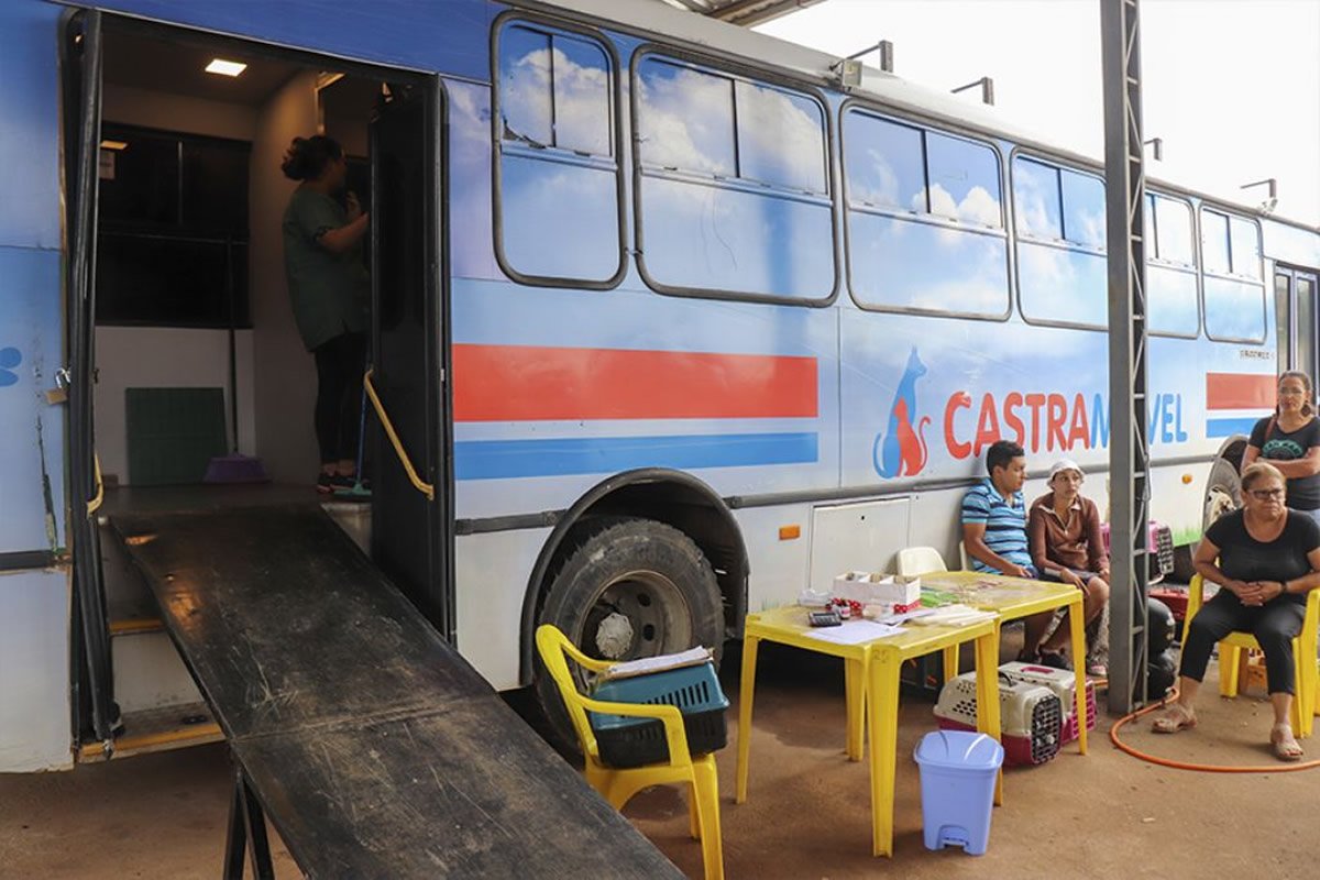 Castramóvel faz atendimento itinerante em bairros de Pouso Alegre Castramóvel faz atendimento itinerante em bairros de Pouso Alegre